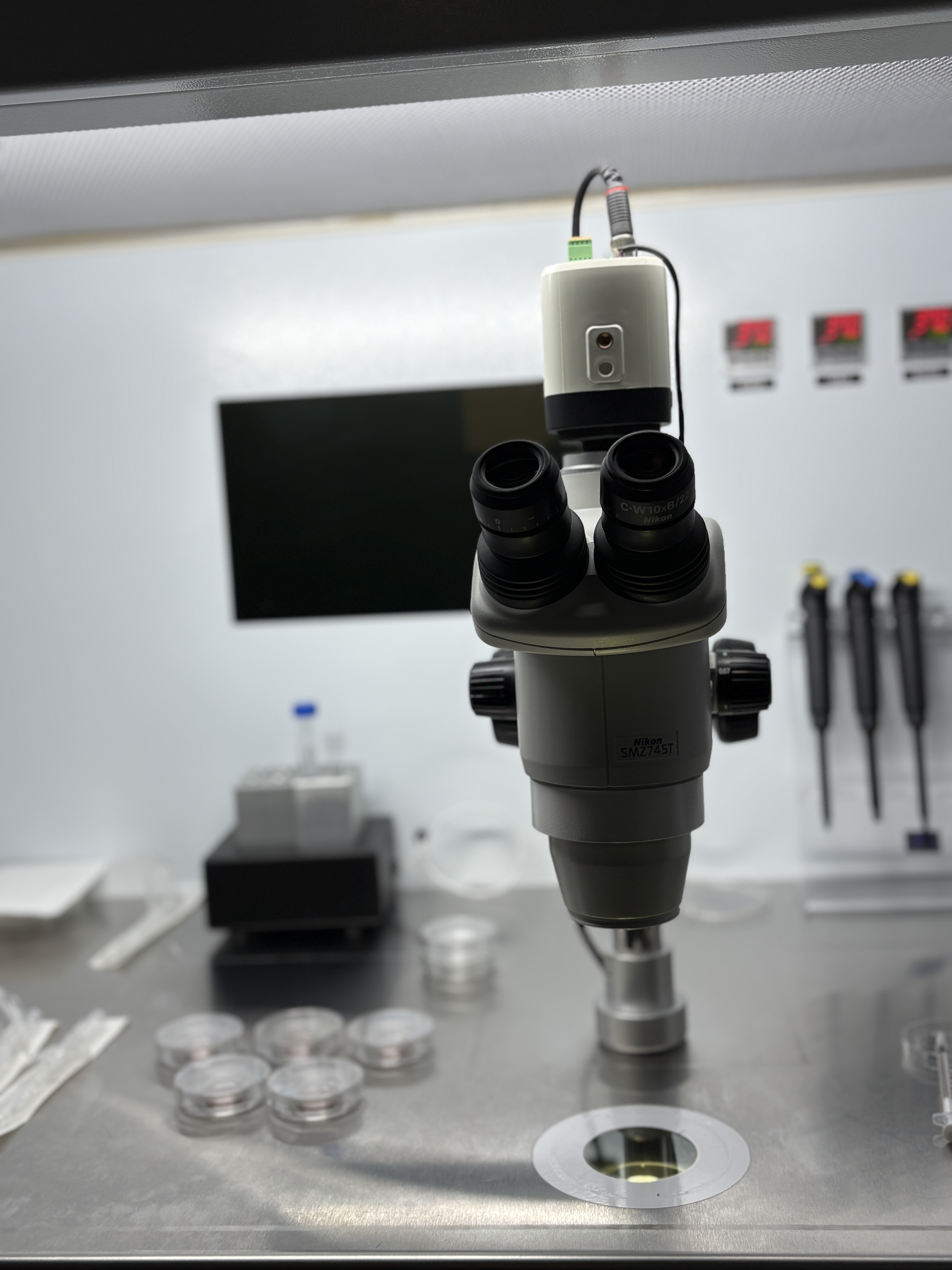 Yellow IVF facility 5